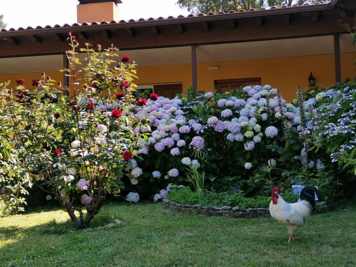 Hotel Rural El Retiro De San Pedro By Retirorural Arenas de San Pedro Extérieur photo